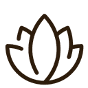 Penelope Health logo